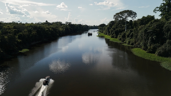 Barco navegando em um rio em meio à Floresta Amazônica