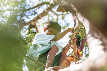 relatório de sustentabilidade