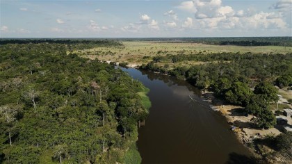 Grupo Energisa apoia projetos que unem restauração ecológica e geração de renda para comunidades locais