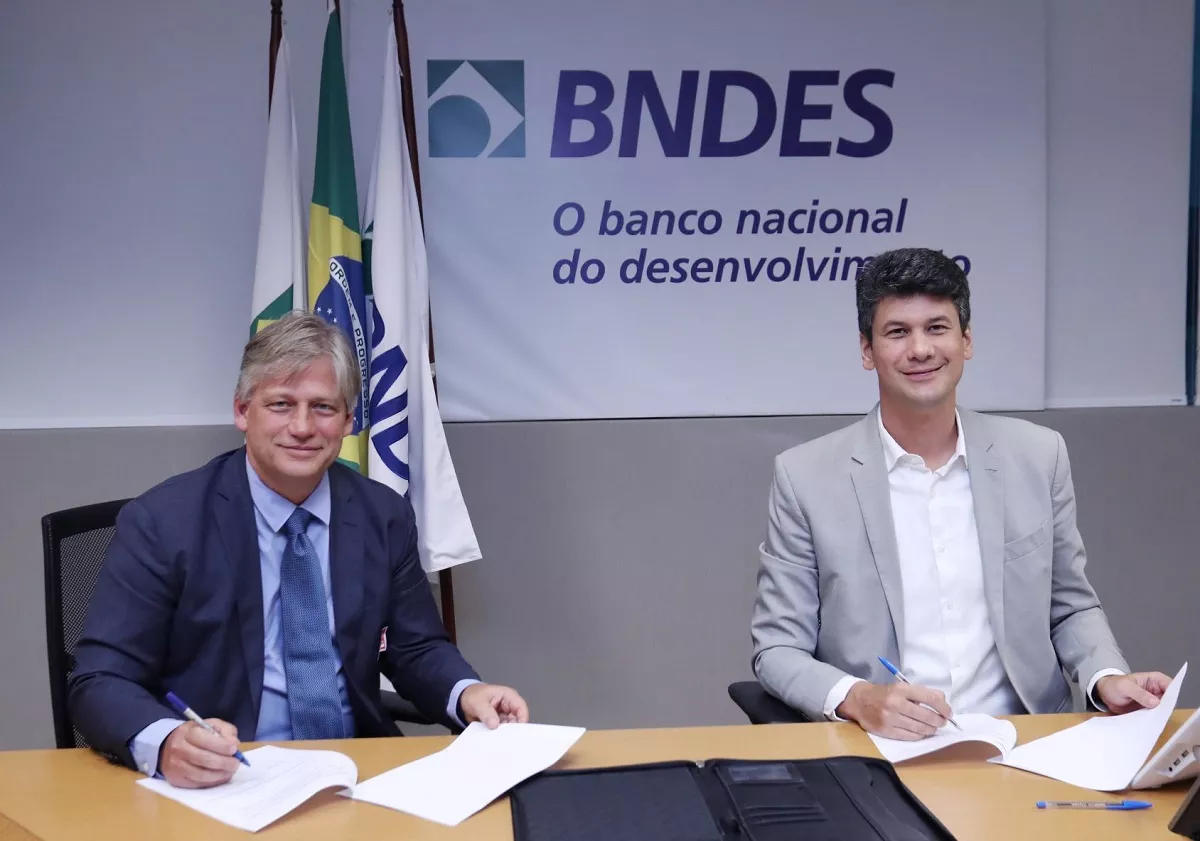 Energisa adere a fundo do BNDES que investirá R$ 500 milhões em projetos de restauração florestal