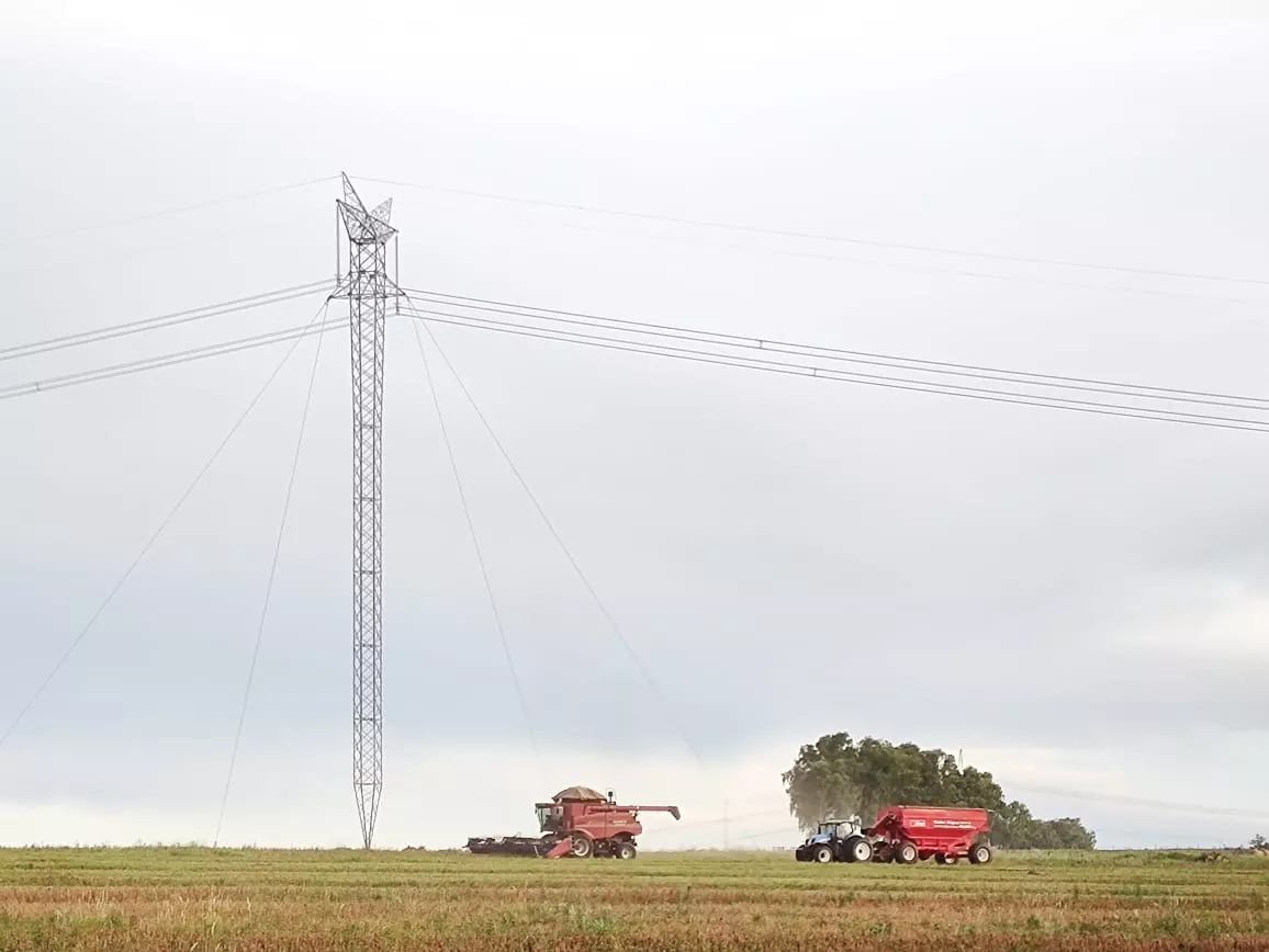 Mato Grosso: acidentes de máquinas agrícolas com rede elétrica afetam 12 mil clientes