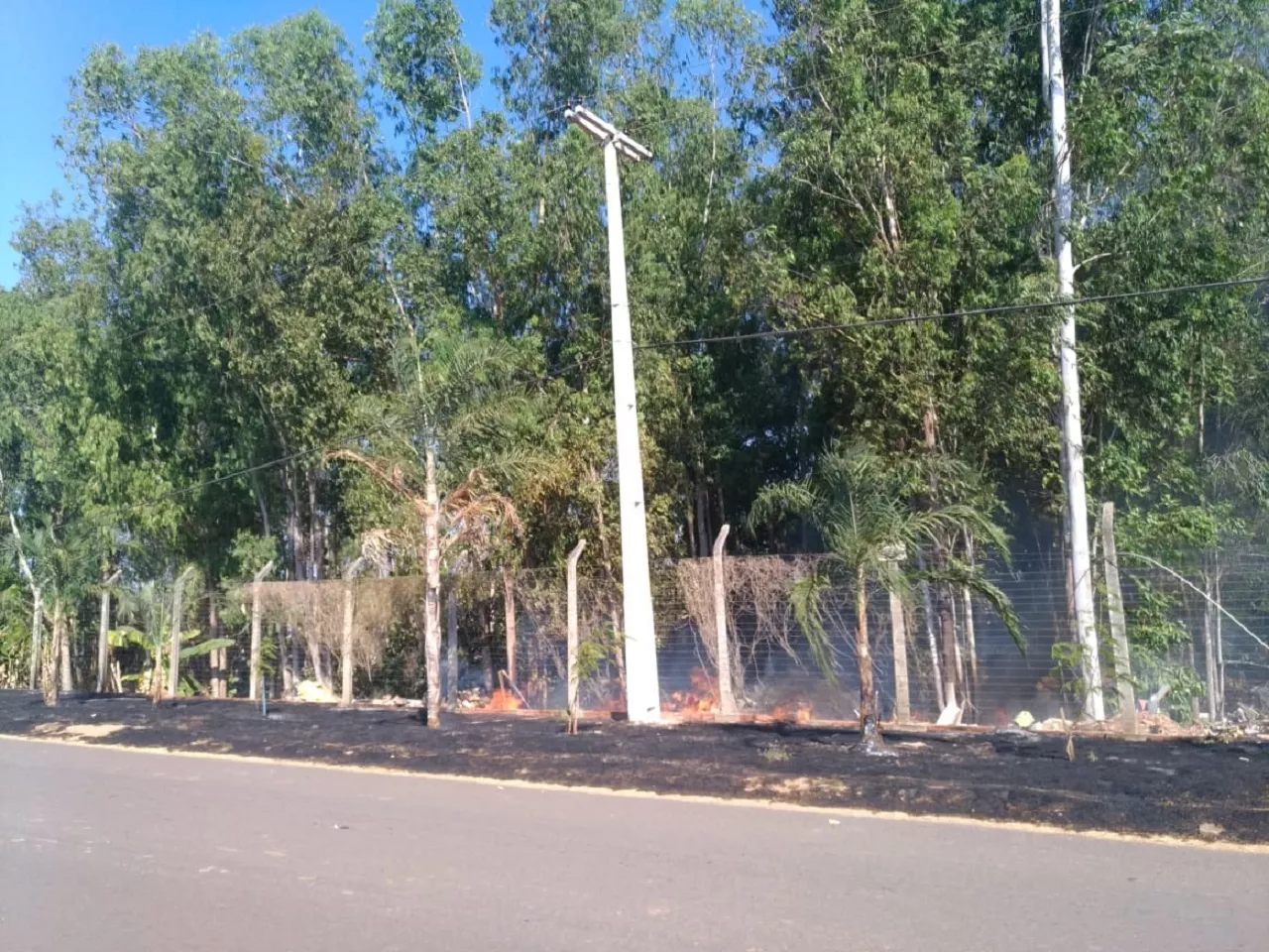 Chegada do verão Amazônico acende alerta para o perigo das queimadas em Rondônia