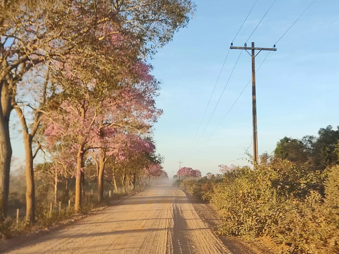 Produtores rurais que recebem desconto da Tarifa Rural devem renovar o cadastro na Energisa