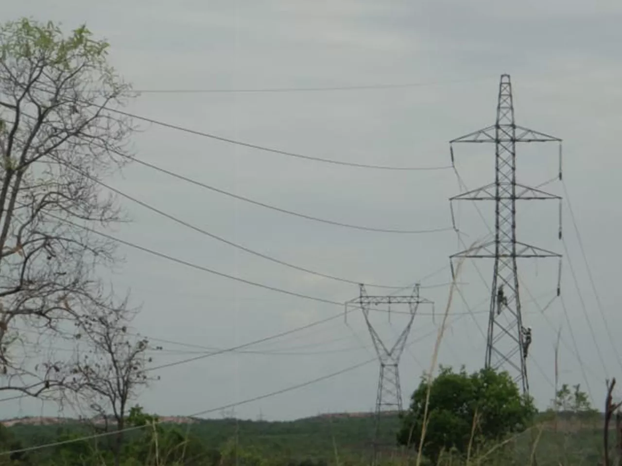 Época de plantio da soja está chegando e requer atenção com rede elétrica