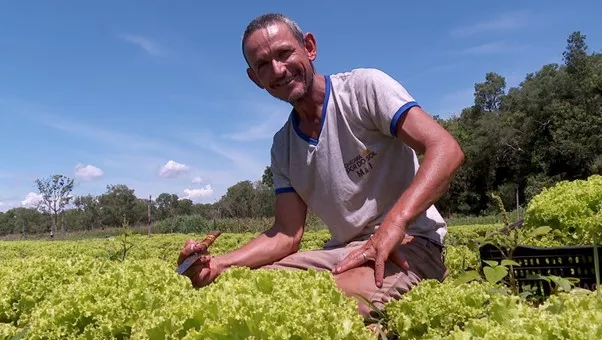 Da agricultura familiar a rede de supermercados, a energia faz a diferença