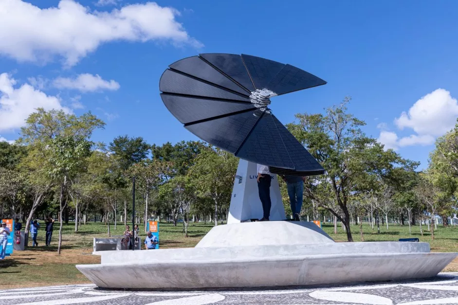 A Flor Solar no Parque das Nações Indígenas