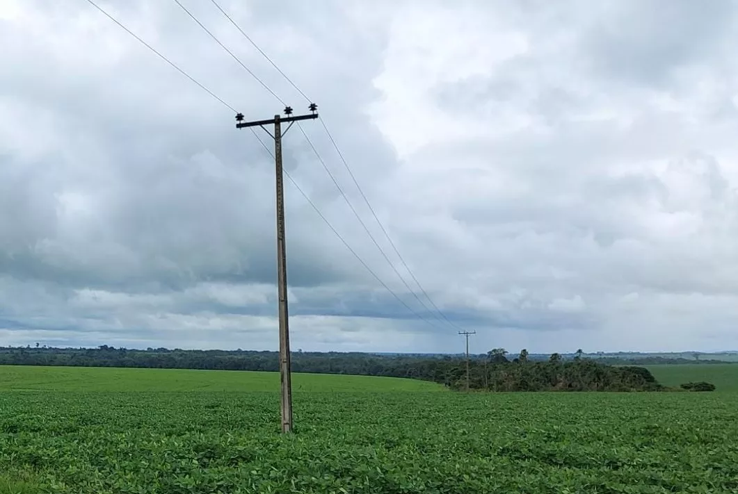 Novo calendário rural apoia 250 mil famílias que estão no campo a controlar a conta de luz