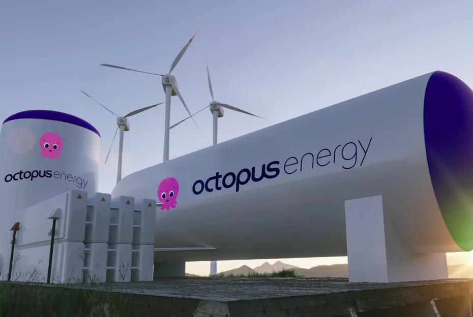 Octopus Energy